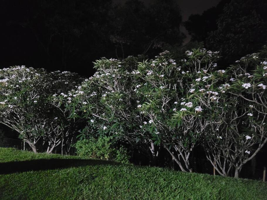 Willa Chacara Dos Sonhos Em Mairiporã Zewnętrze zdjęcie
